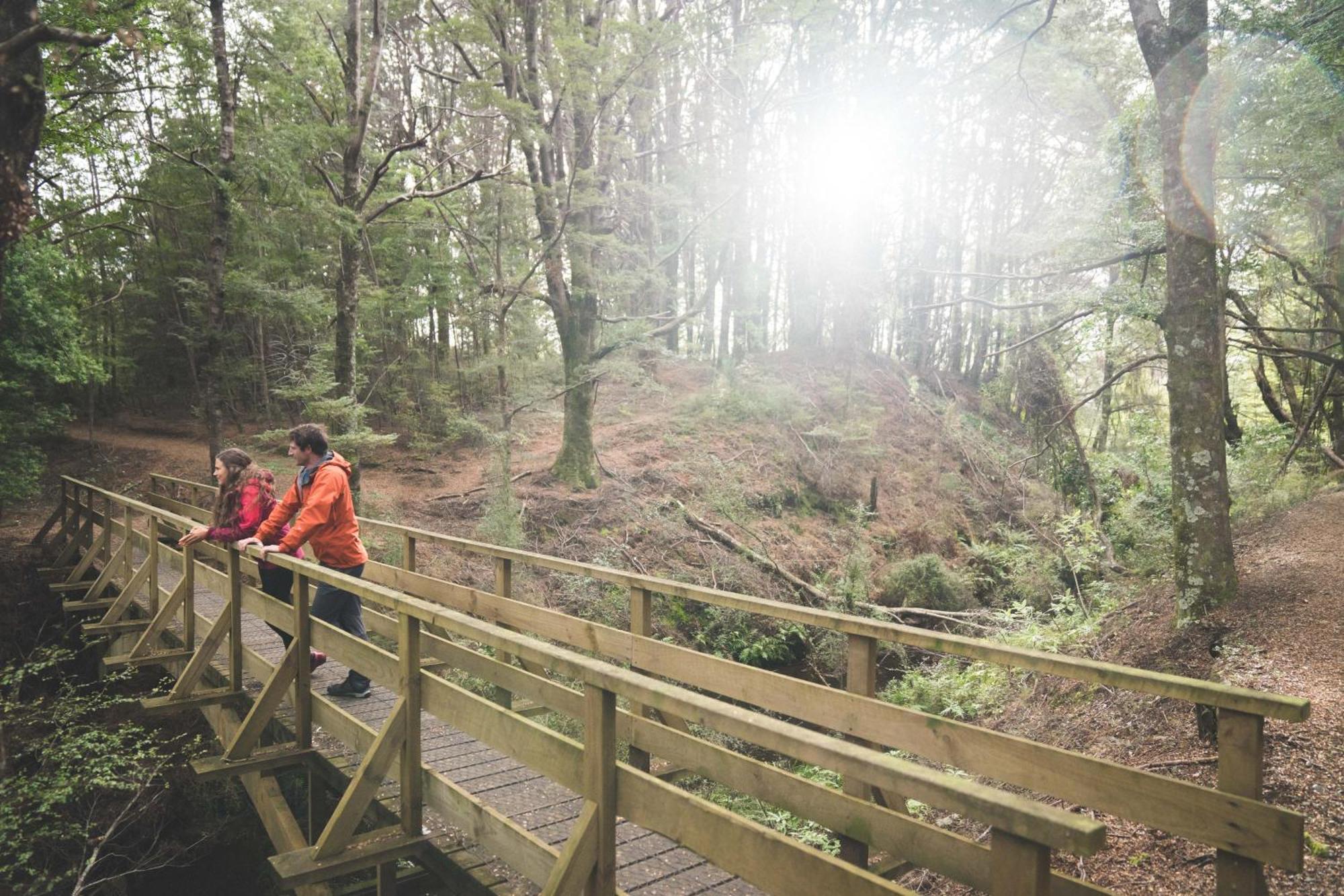 Fiordland National Park Lodge Te Anau Downs Luaran gambar