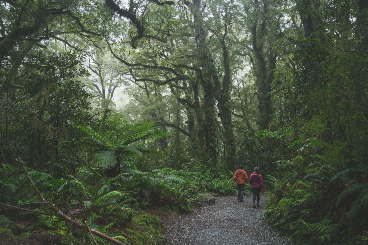 Fiordland National Park Lodge Te Anau Downs Luaran gambar