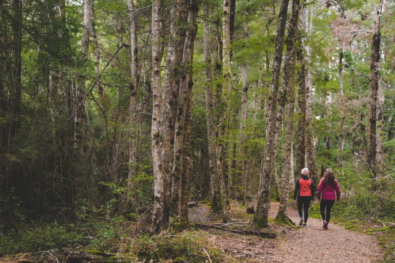 Fiordland National Park Lodge Te Anau Downs Luaran gambar